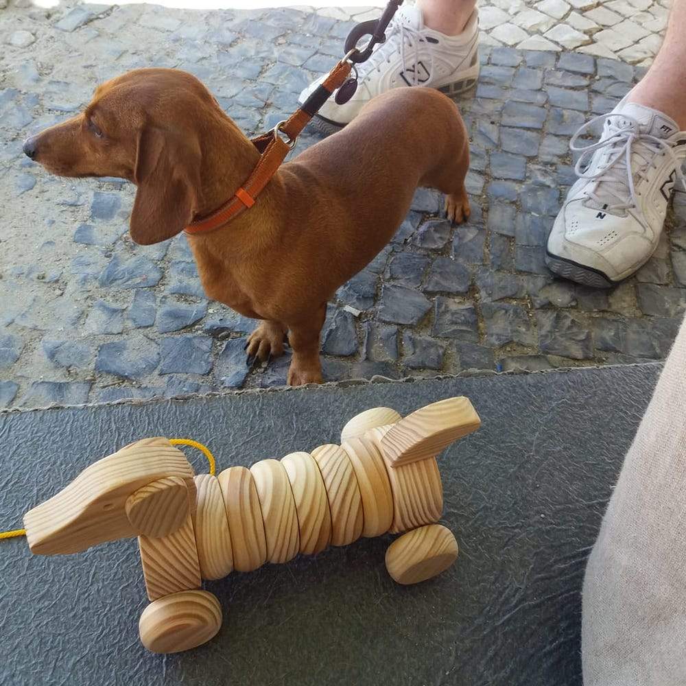 Chien en bois à monter et à promener Chien en bois