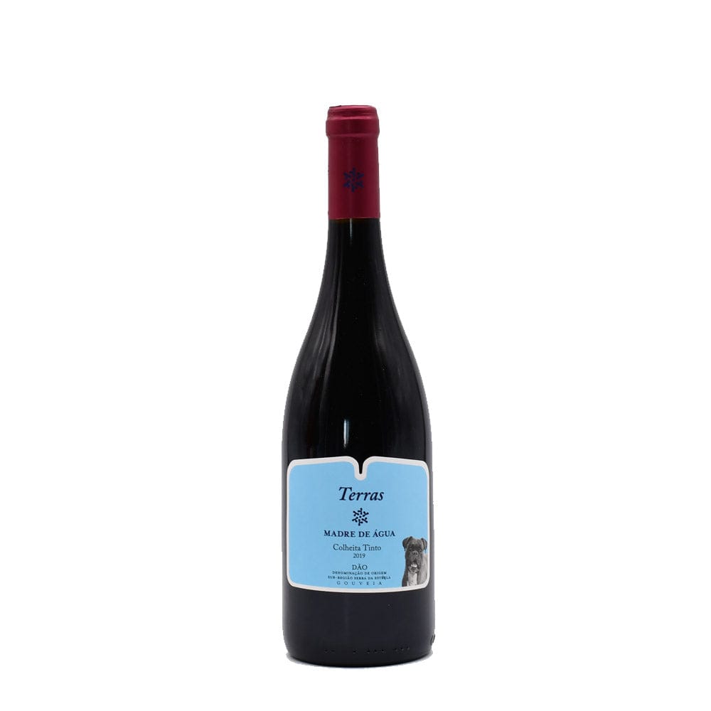 Terras Madre de água 2019 I Vin rouge du Dão - 75cl